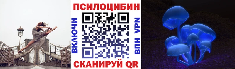Галлюциногенные грибы Psilocybine cubensis где купить наркоту Темников